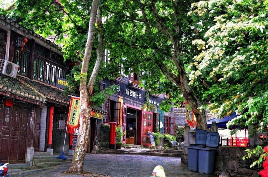 逃离亚洲丛林